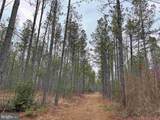  Dogwood Drive (Tract: Tanager Et2-2006) - Photo 2