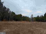  Dogwood Drive (Tract: Tanager Et2-2006) - Photo 5