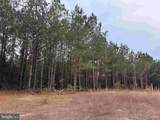  Dogwood Drive (Tract: Tanager Et2-2006) - Photo 7