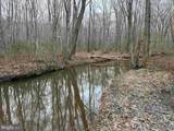  Dogwood Drive (Tract: Tanager Et2-2006) - Photo 9