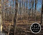 6299 Mckendree Road - Photo 1