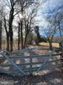 1701 Ferguson Lane - Photo 7