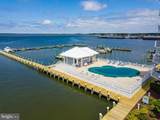 103 Williams Street - Photo 74