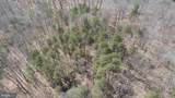 635 Tobacco Ridge Road - Photo 7
