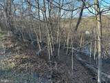 1231 Lakeview Drive - Photo 3