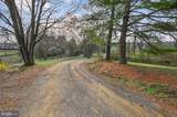 40246 Thomas Mill Road - Photo 7