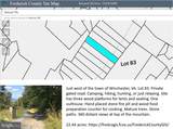 83 Bobcat Trail - Photo 10