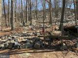 83 Bobcat Trail - Photo 16