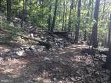 83 Bobcat Trail - Photo 3