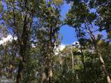 83 Bobcat Trail - Photo 6