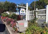 33931 Liberty Street - Photo 56
