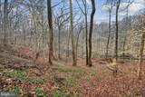 700-A Chaney Drive - Photo 8