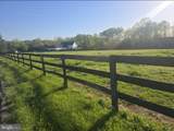 10955 Poplar Ford Trail - Photo 14