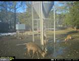 2373 Asquith Island Road - Photo 29