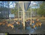 2373 Asquith Island Road - Photo 33