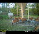 2373 Asquith Island Road - Photo 4