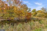 16916 Annandale Road - Photo 46