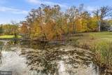 16916 Annandale Road - Photo 47
