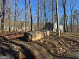 Lot 6 Quail Drive - Photo 2