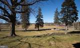 10463 Jonestown Road - Photo 16