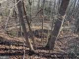 Lot 6 Bald Eagle Dr - Photo 1