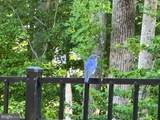 1555 Meadowlark Glen Road - Photo 6