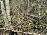 00 Indian Trace Trl - Photo 10