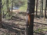 00 Indian Trace Trl - Photo 13