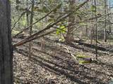 00 Indian Trace Trl - Photo 8