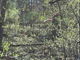 00 Indian Trace Trl - Photo 9