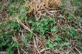  Dominion Road - Photo 54