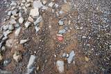  Dominion Road - Photo 58