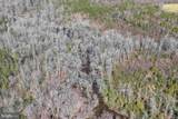  Cedar Field Road (Tract: Tanager Et2-2003) - Photo 12
