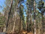  Cedar Field Road (Tract: Tanager Et2-2003) - Photo 3