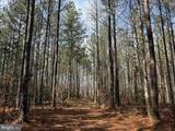  Cedar Field Road (Tract: Tanager Et2-2003) - Photo 4