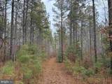  Cedar Field Road (Tract: Tanager Et2-2003) - Photo 6