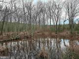  Cedar Field Road (Tract: Tanager Et2-2003) - Photo 9