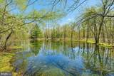 65 Snow Shoe - Photo 49