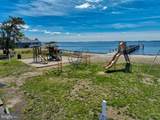 35959 Jake Drive - Photo 40