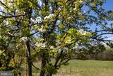 296 Keystone Road - Photo 58