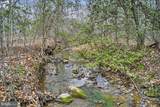 9521 Grasty Gold Mine Road - Photo 77