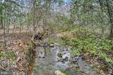 9521 Grasty Gold Mine Road - Photo 80