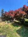 300 Prince Edward Street - Photo 45