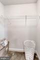 46210 Lisa Marie Court - Photo 30