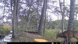 24227 Thicket Point Lane - Photo 77