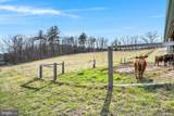 6196 Waggoners Gap Road - Photo 53