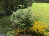 9605 Bronte Drive - Photo 78