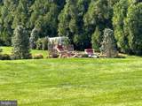 1203 Dairy Road - Photo 5