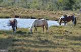 Lot 1136 Scimitar Way - Photo 43