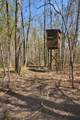 930 Spaniard Neck Road - Photo 84